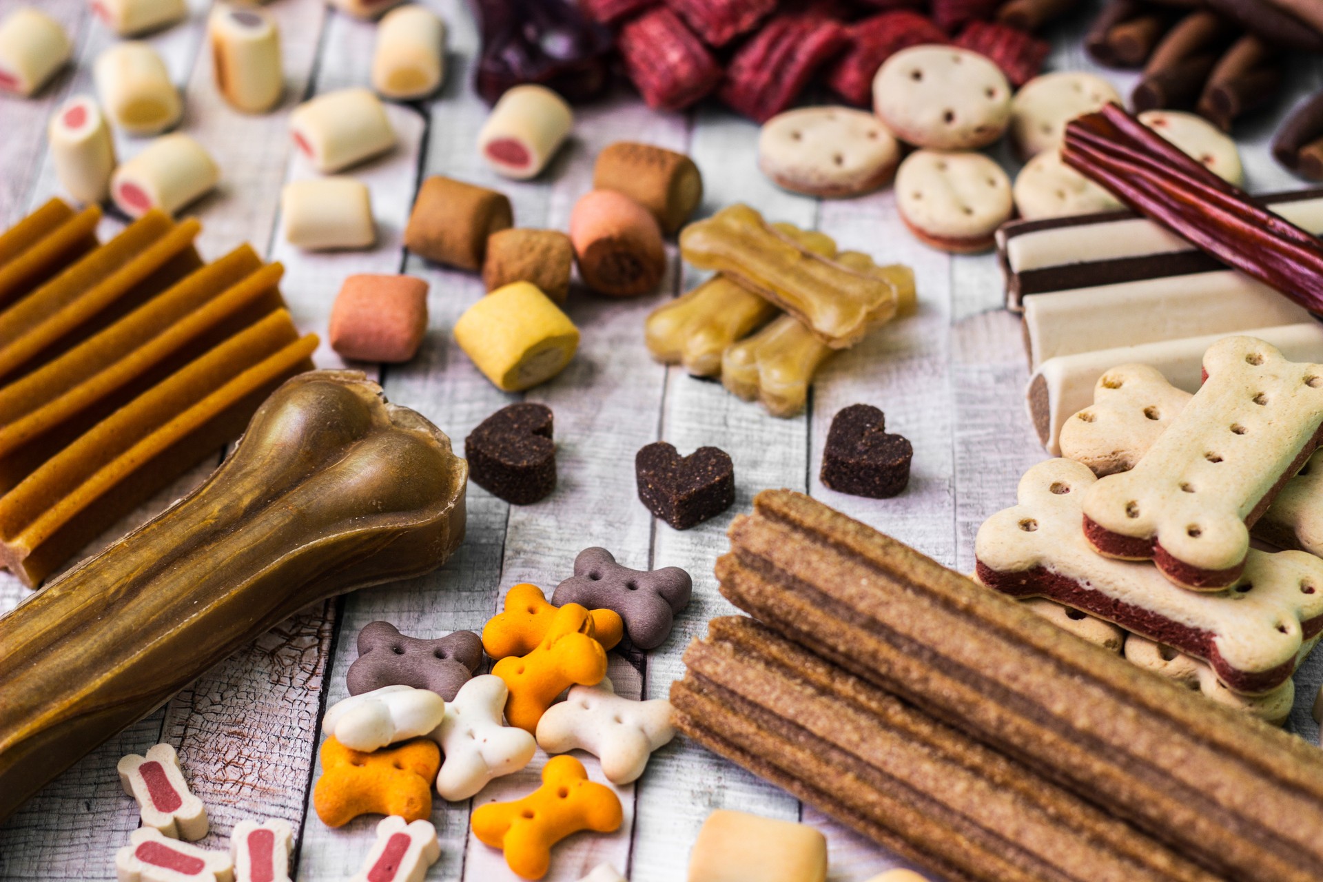 Dog treats and biscuits