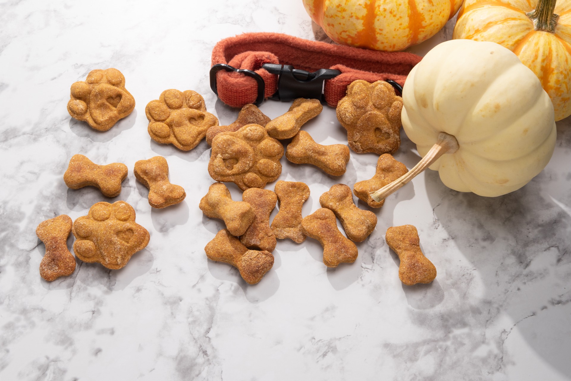 Baked pumpkin dog treats on a marble background.